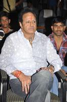 Balakrishna Gallery